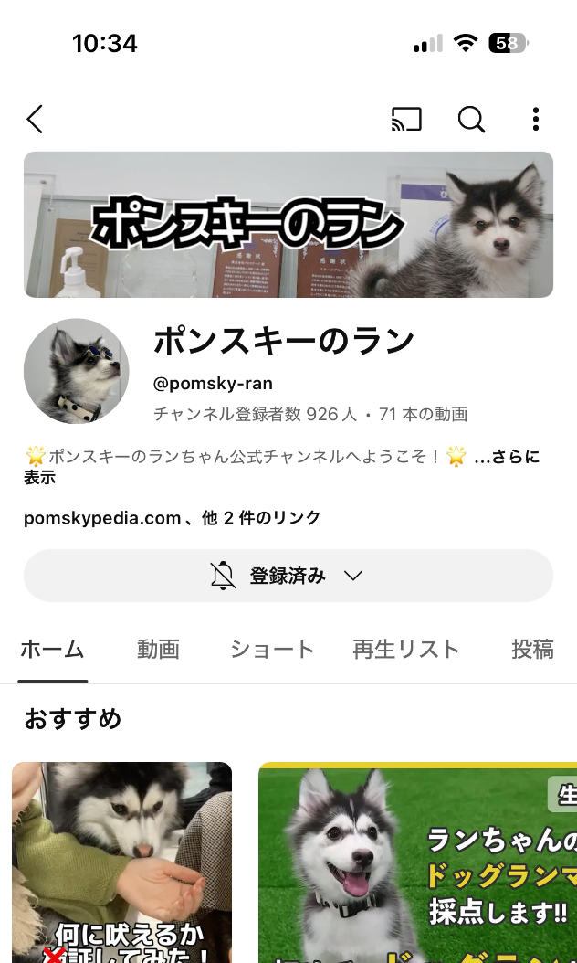 ポンスキー YouTube