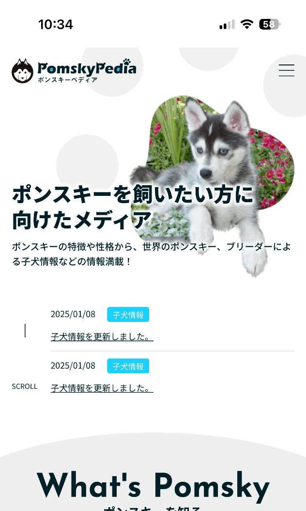 ポンスキーペディア