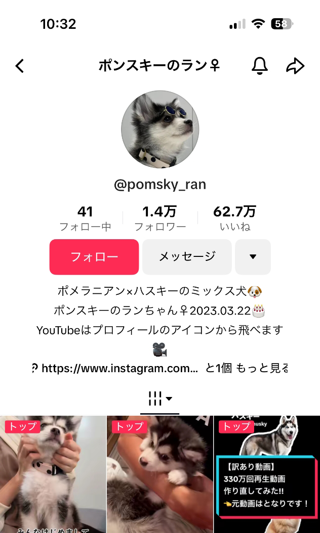 ポンスキー TikTok