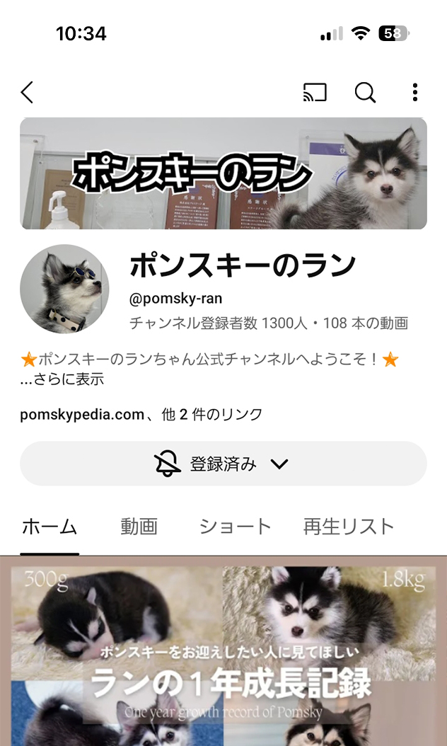 ポンスキー YouTube