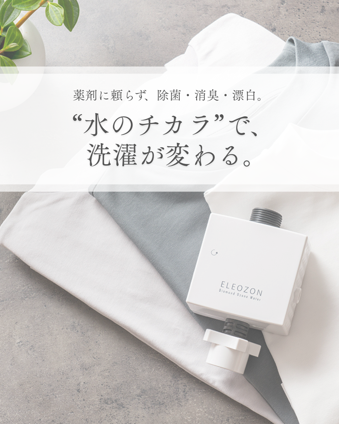 クライアント名