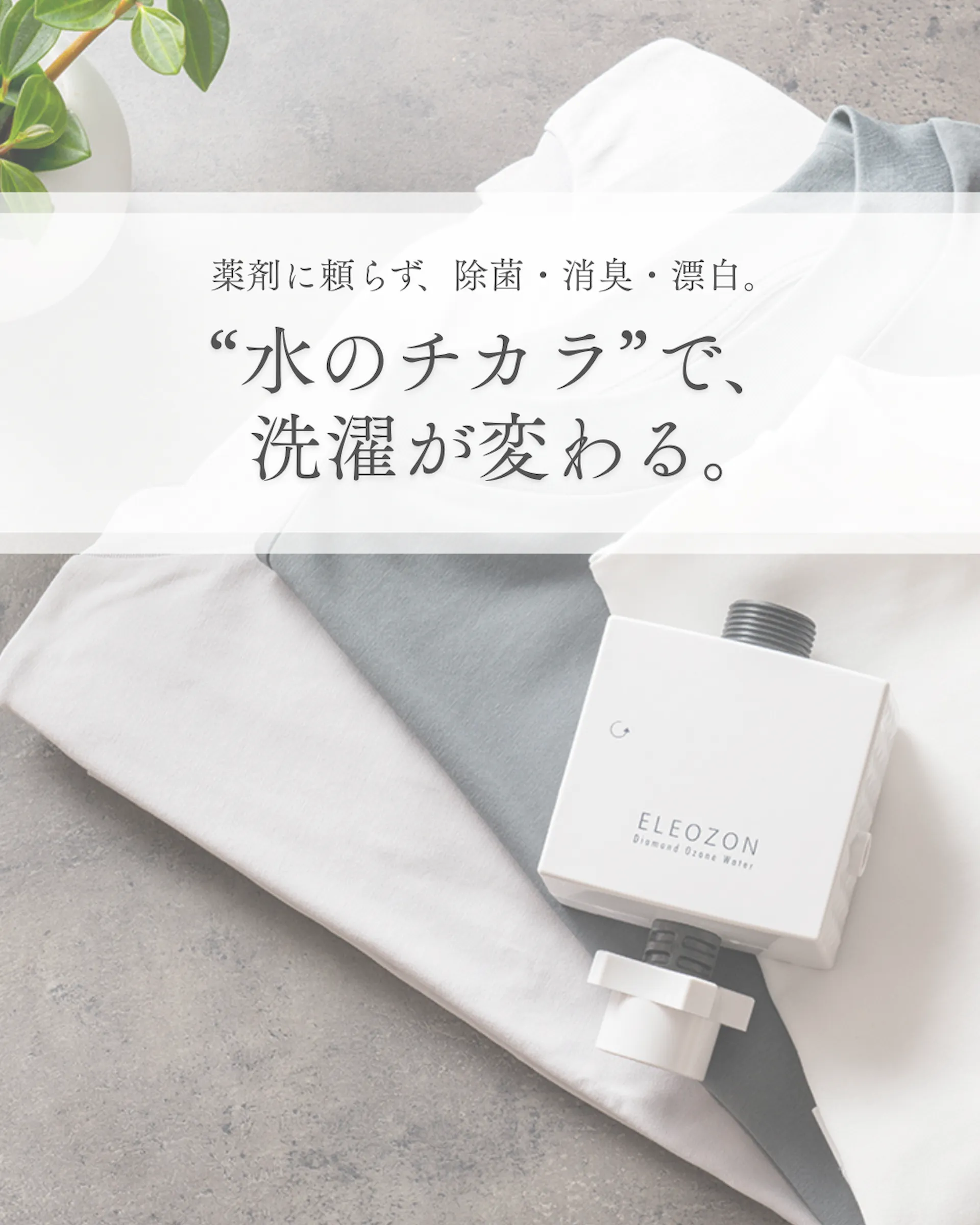 クライアント名