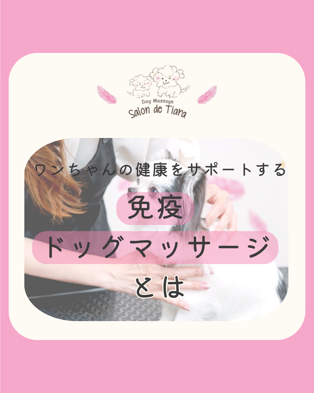 クライアント名